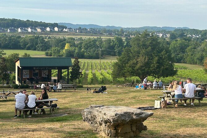 Private Arrington Wine and Franklin Dine Tour from Nashville - Key highlights worth planning around