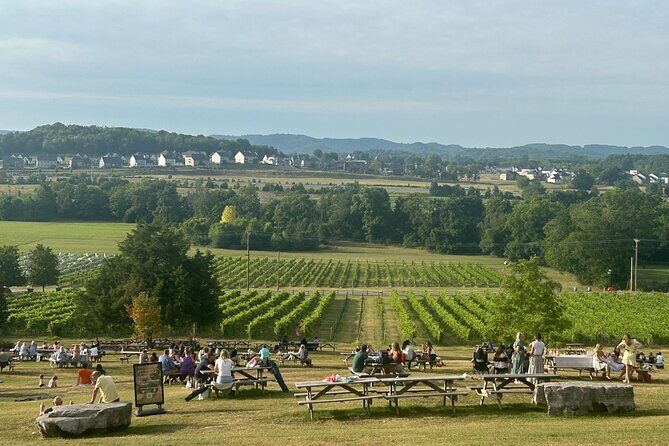 Private Arrington Wine and Franklin Dine Tour from Nashville - A smart route through Franklin, Leiper’s Fork, and Arrington