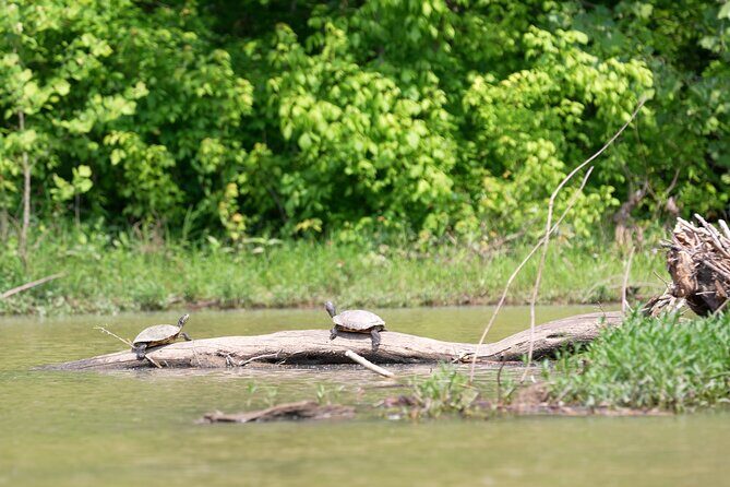 Small Group Clear Kayak Tour of Old Hickory Lake - The wind factor: when a calm paddle turns into a workout