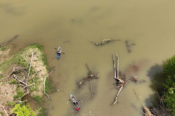 Small Group Clear Kayak Tour of Old Hickory Lake - Wildlife spotting: the fun part is that the guide helps you notice